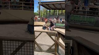 Dad catches Mom And Daughter on Top of Alligator #shorts