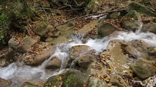 10 hours of river cascades - Relaxing waterfall sounds for sleep relax meditation entertainment