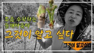 영농한 크루 # 1｜ 두릅두릅뚜 두릅춤이 왔어요