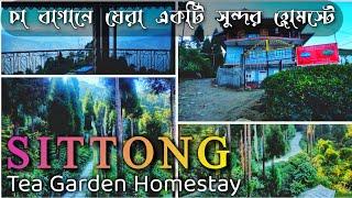 Tea Garden Homestay SITTONG  চা বাগানে ঘেরা Homestay  North Bengal Offbeat 