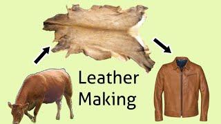 How Hides Are Converted into Leather?  Leather Making Process