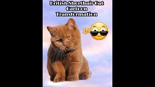 British Shorthair Cat Cartoon Transformation. Xavier The Chonky British Shorthair Cat Vlog 1