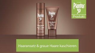 Hellen Haaransatz & graue Haare kaschieren  Plantur 39 Color Braun