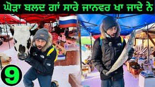 inside Frozen Animal Market ਘੋੜੇ ਗਾਂ ਬਲਦ ਸਭ ਖਾਂ ਜਾਦੇ ਆ