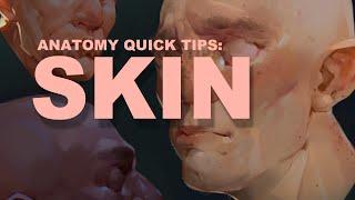 Anatomy Quick Tips Skin