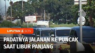 Puncak Alami Kemacetan Saat Libur Panjang  Liputan 6