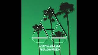 Djey Piko Rob Vice - Ahora Comprendo Latin Tech House