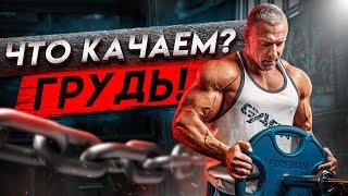 Что качаем? Грудь