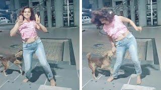 Womans Dance Gets Interrupted By Stray Dog