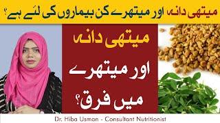 Methi Dana Aur Maithre Mein Farq  How to Use Fenugreek and Fenugreek Seeds?