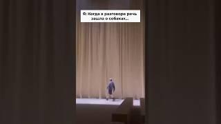 Я когда речь зашла о собаках #shortvideo #trendingshorts