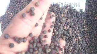 Black Pepper  Sri Lanka