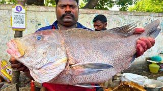 KASIMEDU  SPEED SELVAM  10 KG BIG KORALI FISH CUTTING VIDEO  IN KASIMEDU  FF CUTTING 