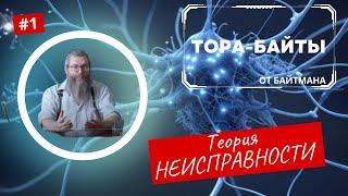 Тора-Байты от Байтмана   Выпуск 1  Теория НЕИСПРАВНОСТИ   Лекции Байтмана