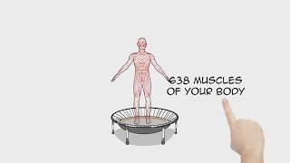 bellicon Rebounding Explained Science and Effects