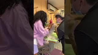 Groomer Helps Severely Matted Pomeranian Dog - 1311317