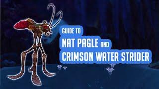 Learning from the Best - Guide to Nat Pagle reputation and Crimson Water Strider mount