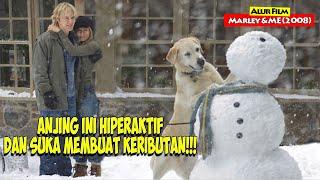 Keluarga Ini  Mengadopsi Anjing Hiperaktif Pembuat Masalah  Alur Cerita Film Marley & Me 2008