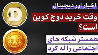 اخبار فوری ارز دیجیتال  از بررسی خرید دوج کوین تا رکورد جدید همستر