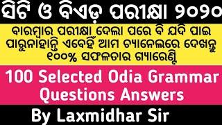 100 Selected Odia Grammar Questions Answers For CT-BEd