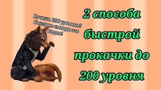 WildCraft 2 способа как быстро прокачаться до 200 уровня