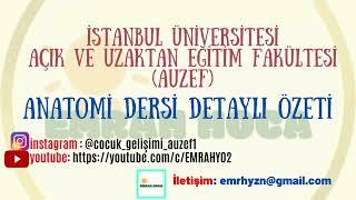 ANATOMİ FİNAL ÖZET KONU ANLATIMI TÜM ÜNİTELER #auzef #çocukgelişimi