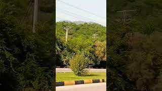 Janum Margilla hills  #islamabadians #vlog #margillahills #khanpervaizvlogs #damnikoh #hiking