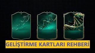 GELİŞTİRME KARTLARI EVOLUTION REHBERİ