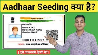 Aadhaar Seeding क्या है?  What is Aadhaar Seeding in Hindi  Aadhaar Seeding Explained in Hindi