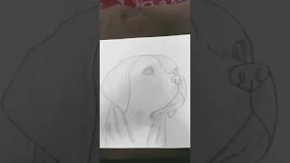 #dog drawing#rate this drawing?#pls subscribe#yt shorts#