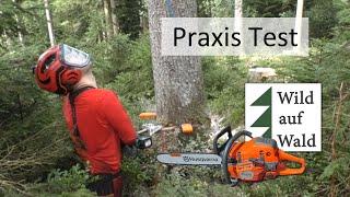 EXTREM Test 4x Fichten Fällung Rückhänger mit Makita und Forstreich #wildaufwald