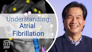 Atrial Fibrillation Risk Factors Symptoms and Treatment  Mass General Brigham