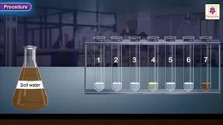Determination of pH using pH papers or Universal Indicator  Chemistry Experiment  Grade 10
