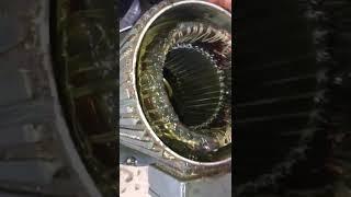 gear box damaged seal