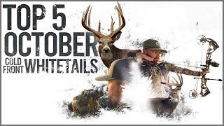 Our Top 5 October Cold Front Whitetail Hunts