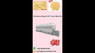 Strawberry Flash Freeze MachineQuick Freezing Machine Malaysia