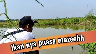 SPOT mancing liar danau pangkalan pasir cibarusah #mancingmania