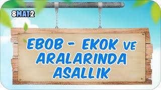 EBOB - EKOK ve Aralarında Asallık  tonguçCUP 1.Sezon - 8MAT2 #2024LGS