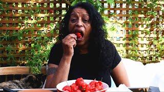 Eating 25 Carolina Reapers  Worlds Hottest Chilli Peppers  Hot Chilli Challenge