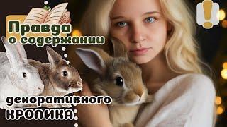 20 вещей которые надо знать о КРОЛИКАХ прежде чем завести.