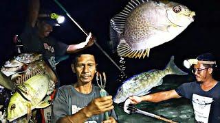 Menyulu Malam Hari - Sampai Puas Tombak Ikan Air Laut Sampai Lutut