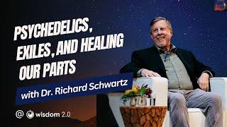 Psychedelics Exiles and Healing our Parts with Dr. Richard Schwartz