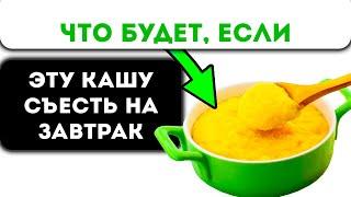 Вот что кукурузная каша сделает с телом человека если есть её иногда