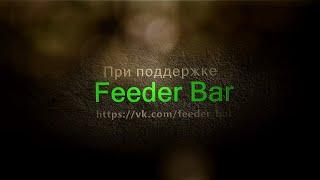 Feeder brain intro