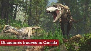 NOUVELLE VIDÉO  Dinosaures trouvés au Canada