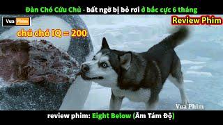 chú Chó IQ 200 cứu chủ và Sinh Tồn ở Bắc Cực - review phim âm tám độ
