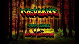 Ragga Jungle Drum & Bass Mix - Ragga Jungle New Roots Vibrations Drum & Bass Mix 2023