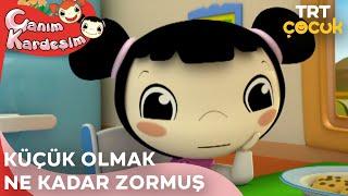 Canım Kardeşim - Küçük Olmak Ne Kadar Zormuş