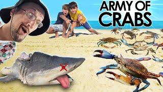 POOR Shark & the CRAB Invasion  FV Family gets Green Goblin @ the Beach