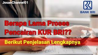 Berapa Lama Proses Pencairan KUR BRI?? Berikut Penjelasannya #kreditusaharakyat #kur #bankbri